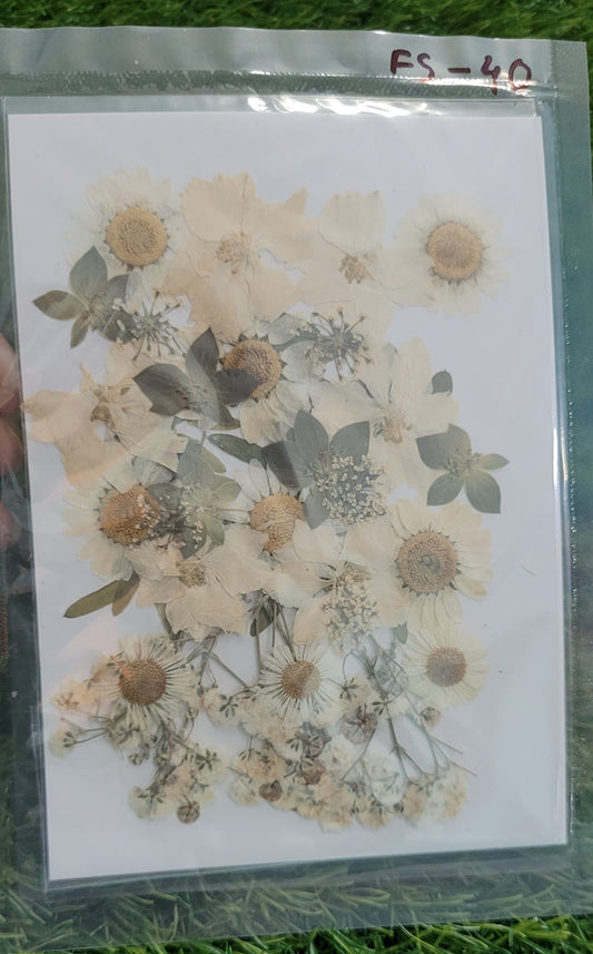 Big Pressed Flower Sheet (FS-40)