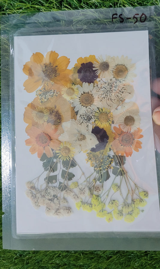 Big Pressed Flower Sheet (FS-50)