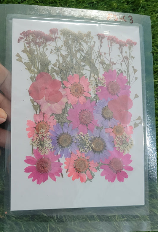 Big Pressed Flower Sheet (FS-63)