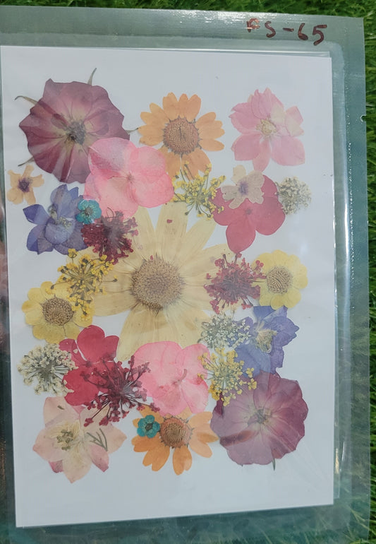 Big Pressed Flower Sheet (FS-65)