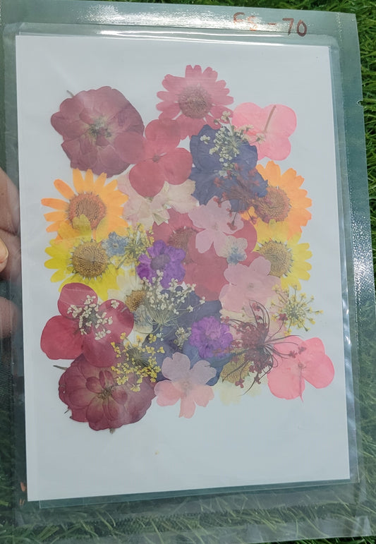 Big Pressed Flower Sheet (FS-70)