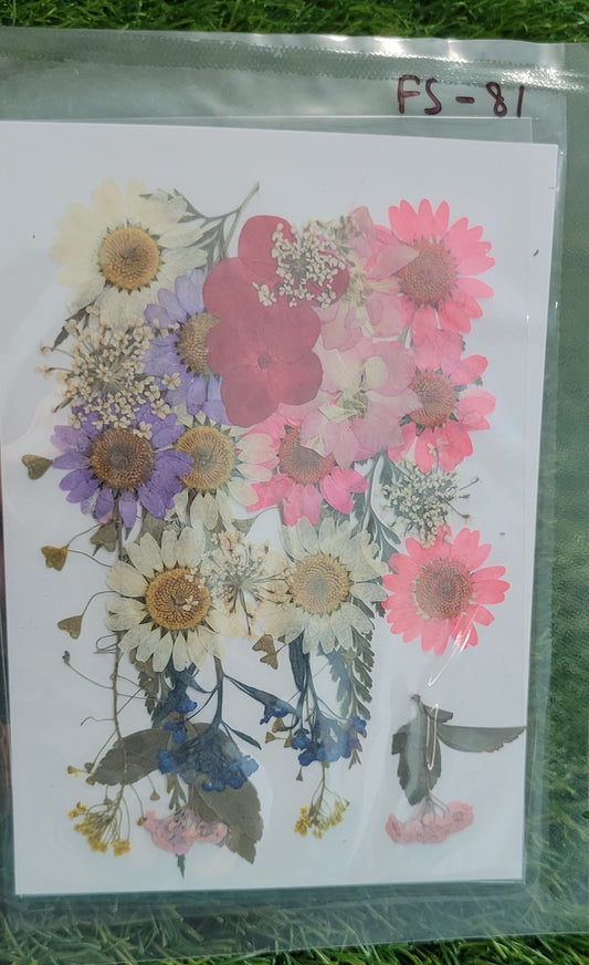 Big Pressed Mix Flower Sheet (FS-81)