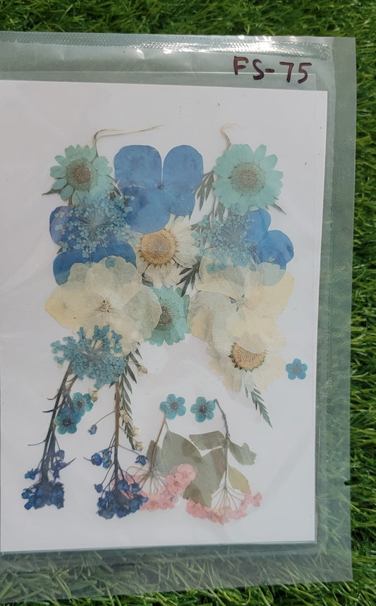 Big Pressed Mix Flower Sheet (FS-75)