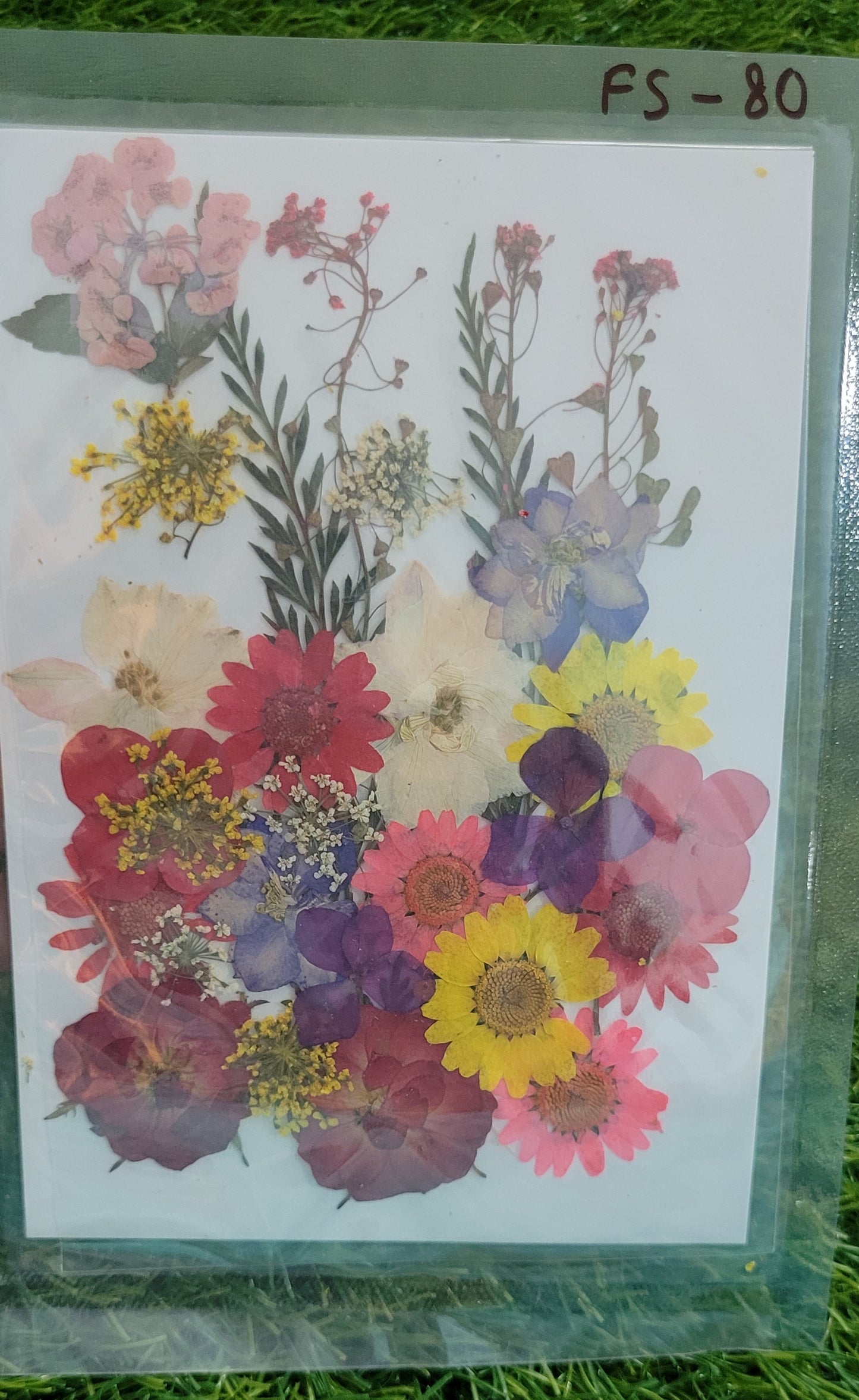 Daisy Pressed Mix Flower Sheet (FS-80)
