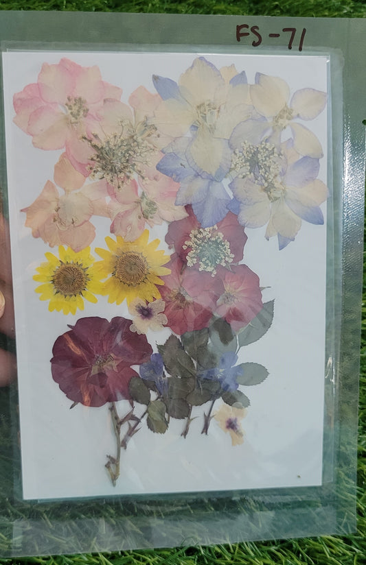 Pressed flower sheet- (FS-71)